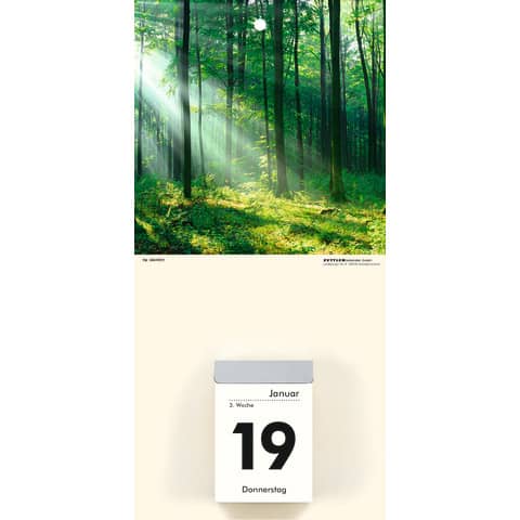Kalenderrückwand Zettler 609772 für Abreißkalender, 14,5 x 29,5 cm, Gebirgsmotive 4-fach sortiert