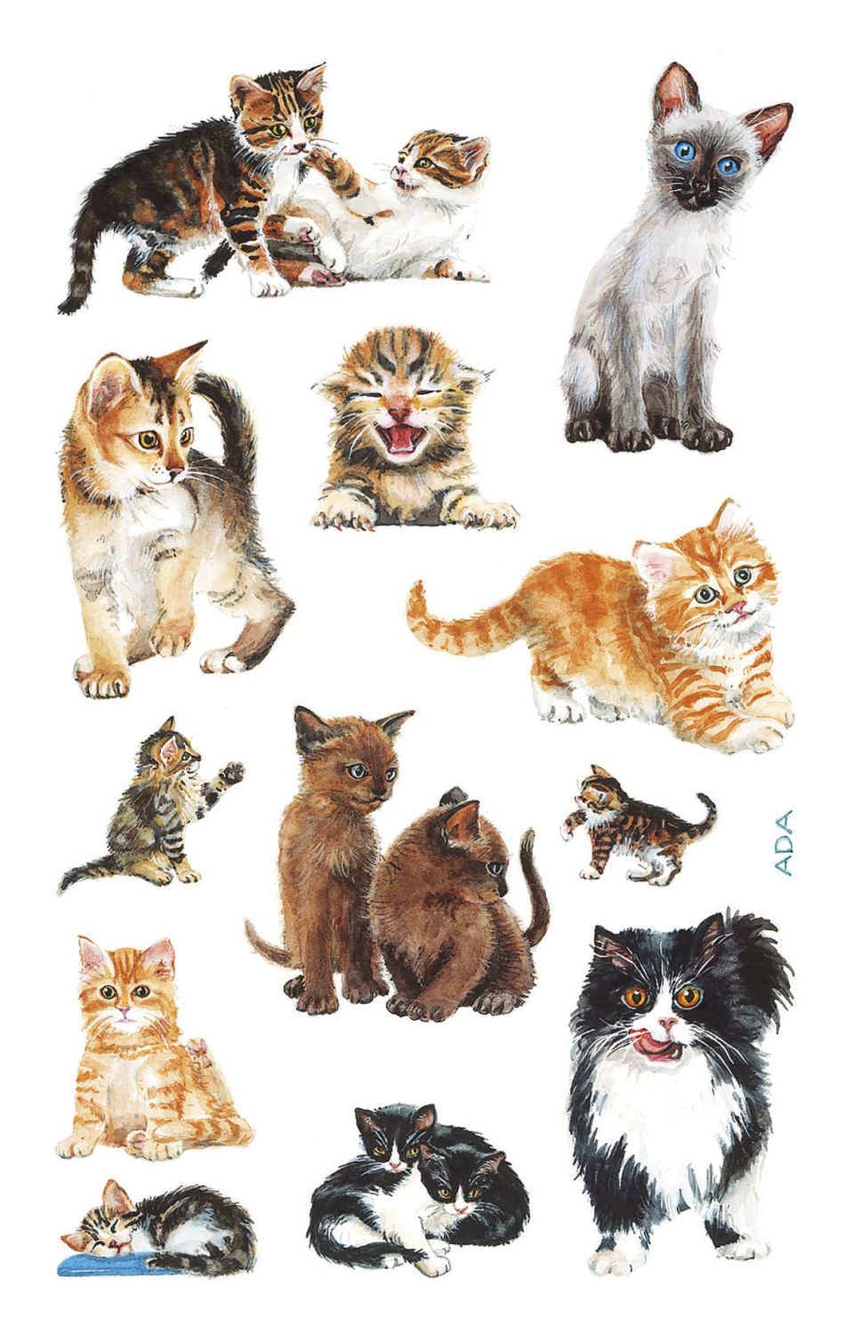 Z-Design 53574, Kinder Sticker, Katzenbabies, 3 Bogen/36 Sticker