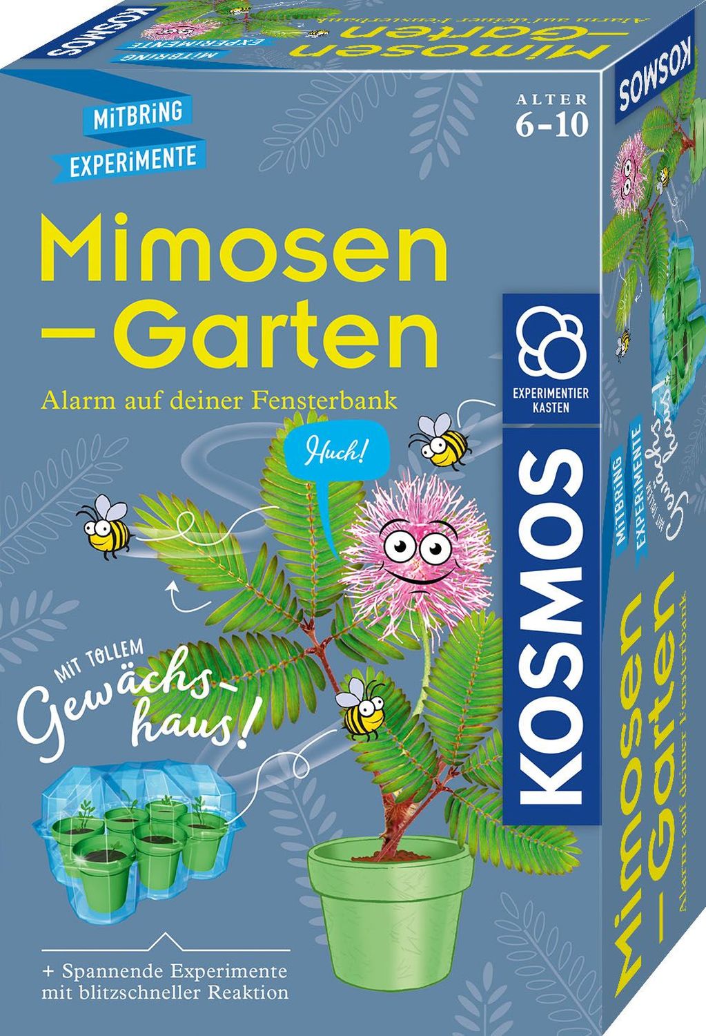 Experimentierkasten - Mimosen-Garten
