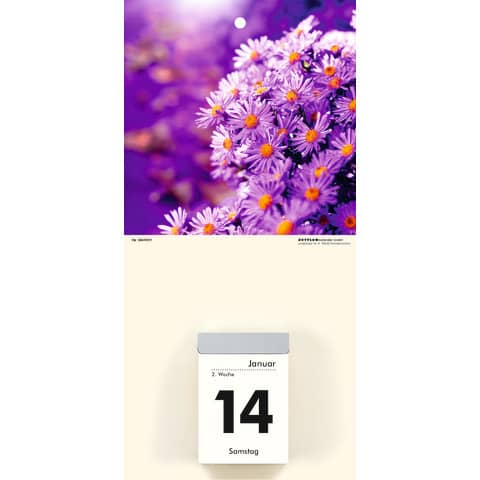 Kalenderrückwand Zettler 609774 für Abreißkalender, 14,5 x 29,5 cm, Blumenmotive 2-fach sortiert